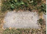 Baby Jane DOE-Ogden City - Cold Case Photo